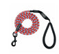 Small, medium and large dogs climbing ropes